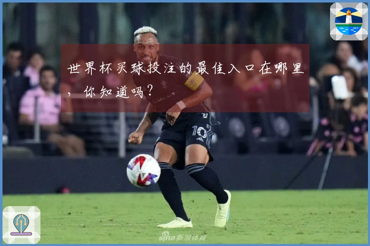 世界杯买球投注的最佳入口在哪里，你知道吗？