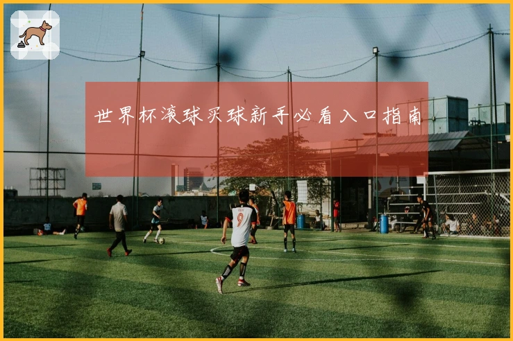 世界杯滚球买球新手必看入口指南