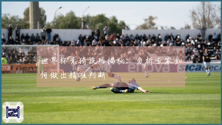 世界杯竞猜技巧揭秘：分析专家如何做出精准判断