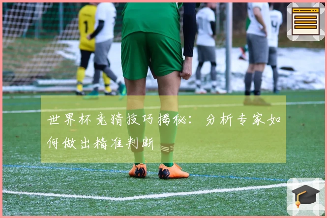 世界杯竞猜技巧揭秘：分析专家如何做出精准判断