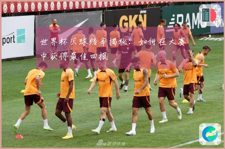 世界杯买球赔率揭秘：如何在大赛中获得最佳回报