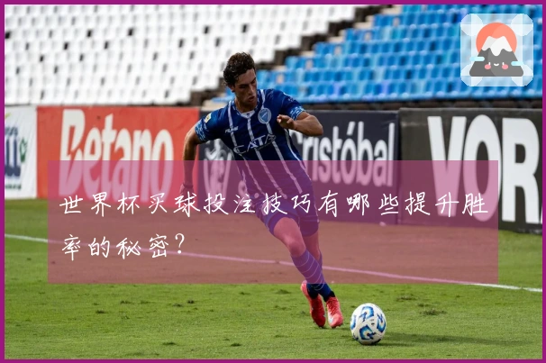 世界杯买球投注技巧有哪些提升胜率的秘密？