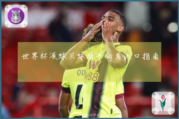 世界杯滚球买球新手必看入口指南