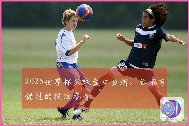 2026世界杯买球盘口分析，你不可错过的投注参考