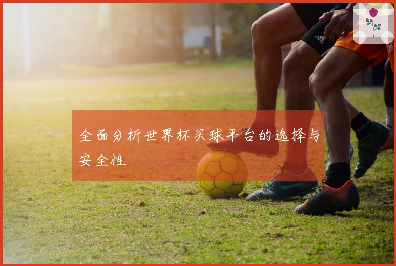 全面分析世界杯买球平台的选择与安全性
