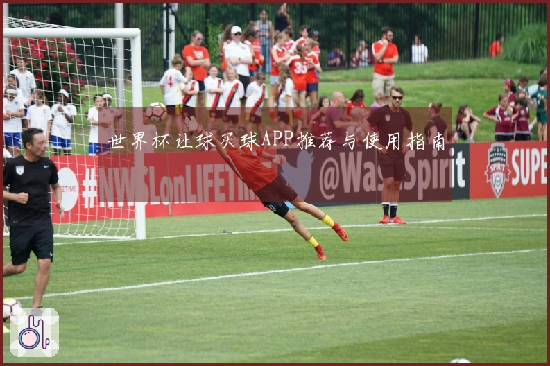 世界杯让球买球APP推荐与使用指南