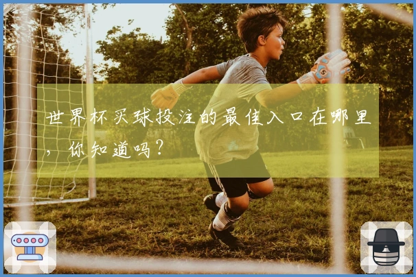 世界杯买球投注的最佳入口在哪里，你知道吗？