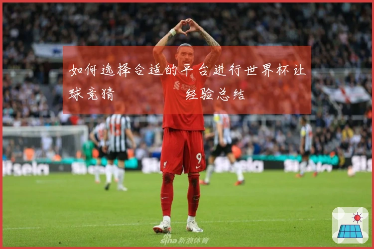 如何选择合适的平台进行世界杯让球竞猜 تجرب经验总结