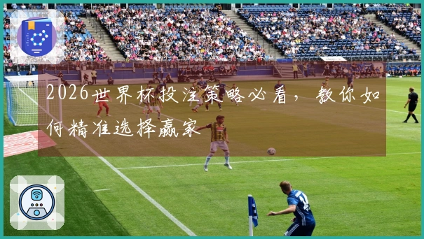2026世界杯投注策略必看，教你如何精准选择赢家