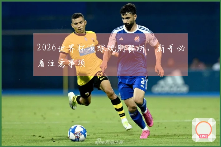 2026世界杯滚球规则解析，新手必看注意事项