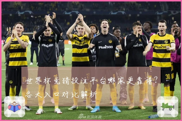 世界杯竞猜投注平台哪家更靠谱？各大入口对比解析