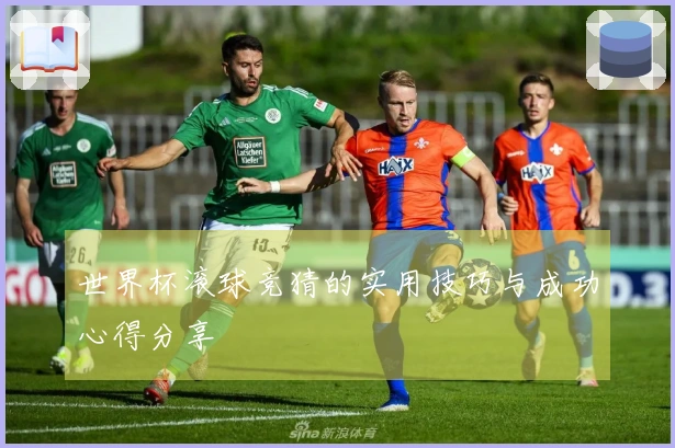 世界杯滚球竞猜的实用技巧与成功心得分享